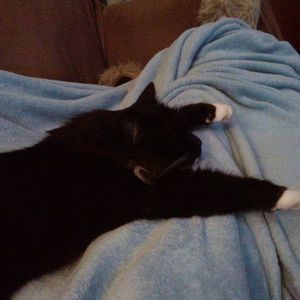 Meet your Posher, Inga